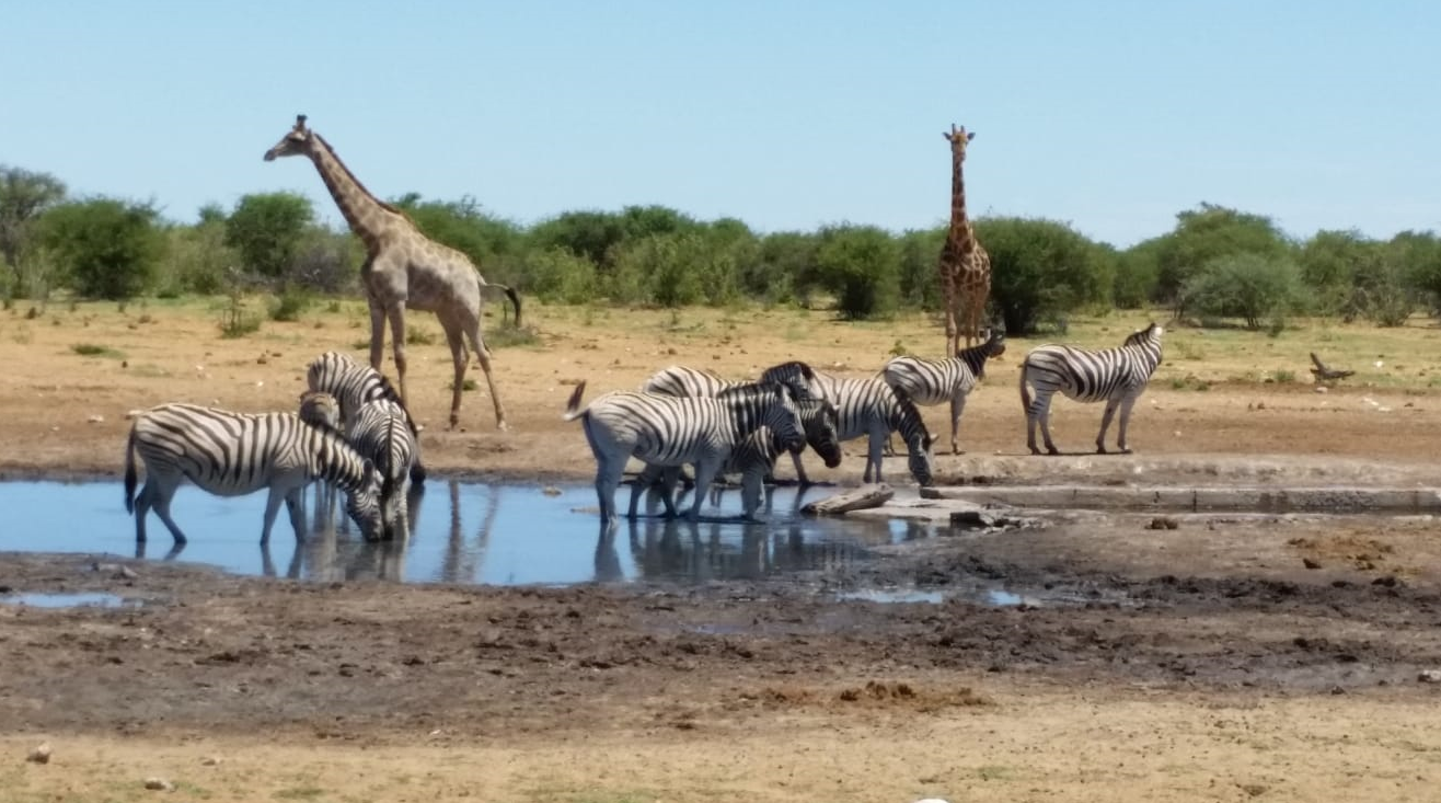 Namibia 3